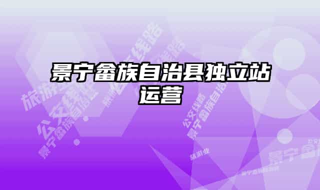 景宁畲族自治县独立站运营