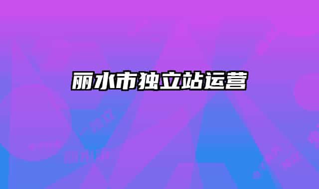 丽水市独立站运营