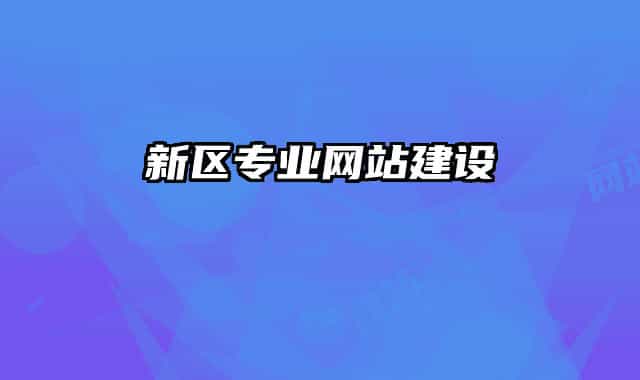 新区专业网站建设