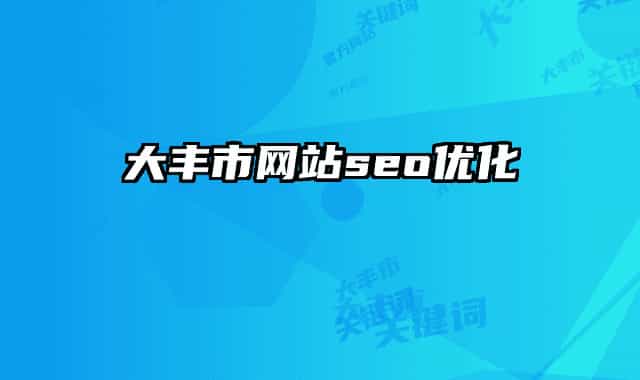 大丰市网站seo优化