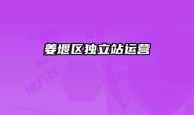 姜堰区独立站运营