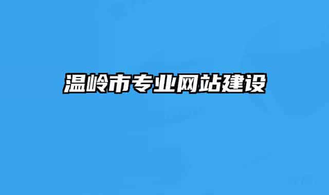 温岭市专业网站建设