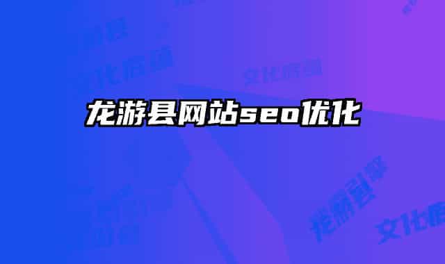 龙游县网站seo优化