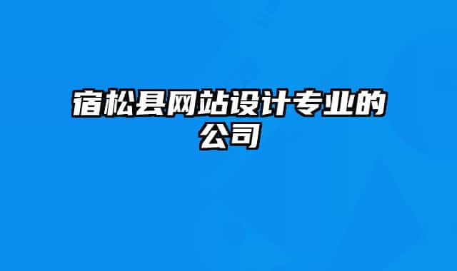 宿松县网站设计专业的公司