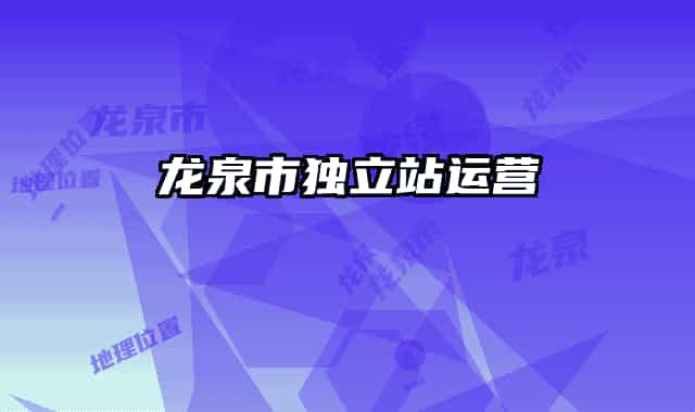 龙泉市独立站运营