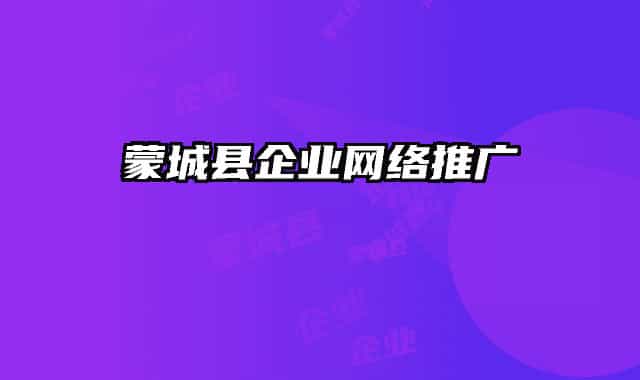 蒙城县企业网络推广