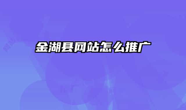 金湖县网站怎么推广