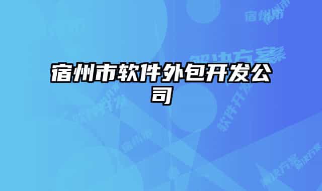 宿州市软件外包开发公司