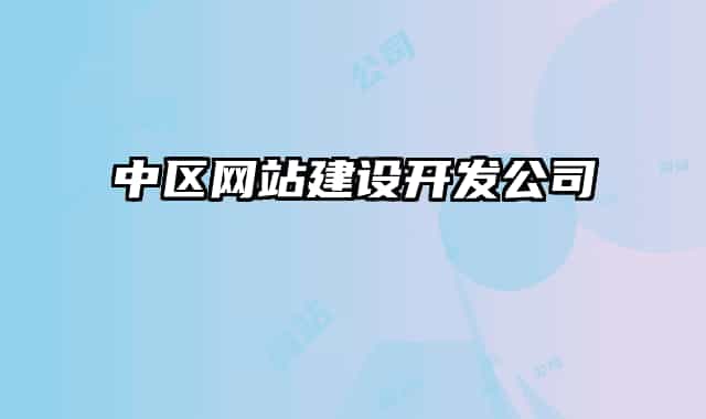 中区网站建设开发公司
