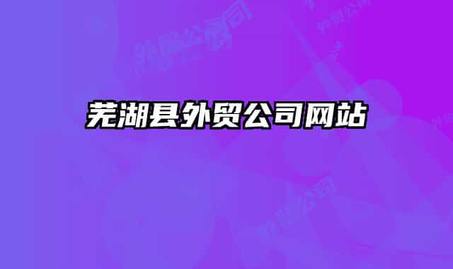 芜湖县外贸公司网站