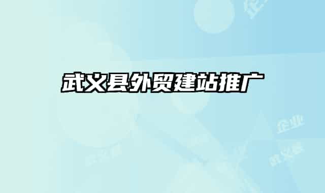 武义县外贸建站推广
