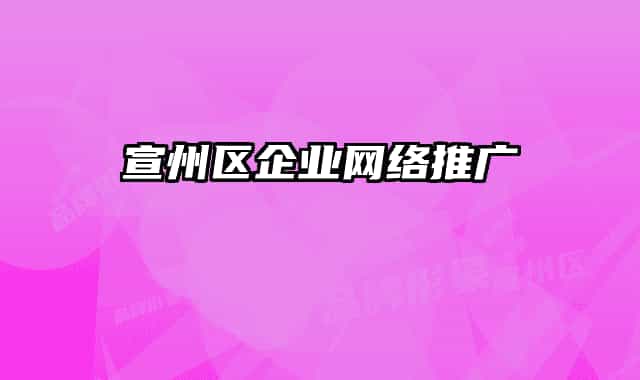 宣州区企业网络推广
