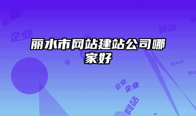 丽水市网站建站公司哪家好