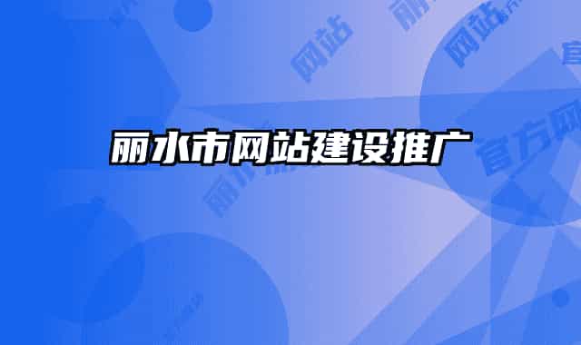 丽水市网站建设推广