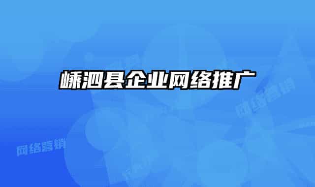 嵊泗县企业网络推广