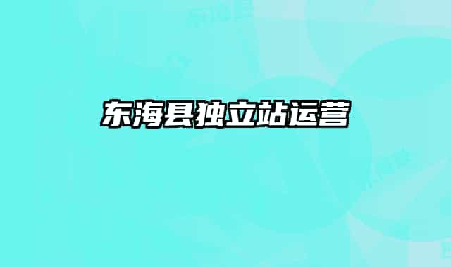 东海县独立站运营