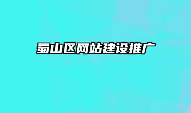 蜀山区网站建设推广