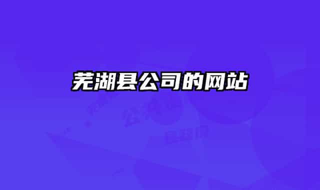 芜湖县公司的网站