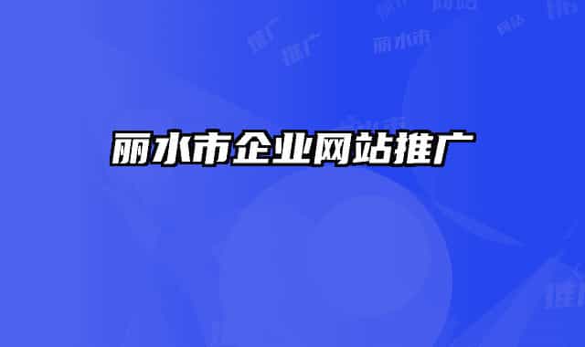 丽水市企业网站推广