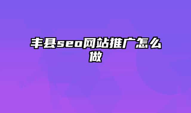 丰县seo网站推广怎么做