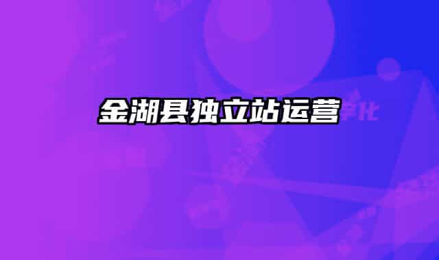 金湖县独立站运营