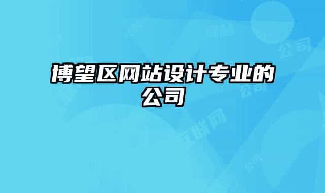 博望区网站设计专业的公司