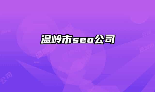 温岭市seo公司