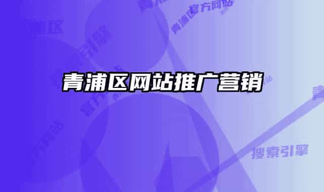 青浦区网站推广营销