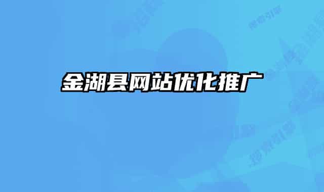 金湖县网站优化推广
