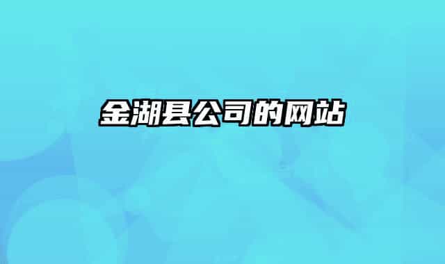 金湖县公司的网站