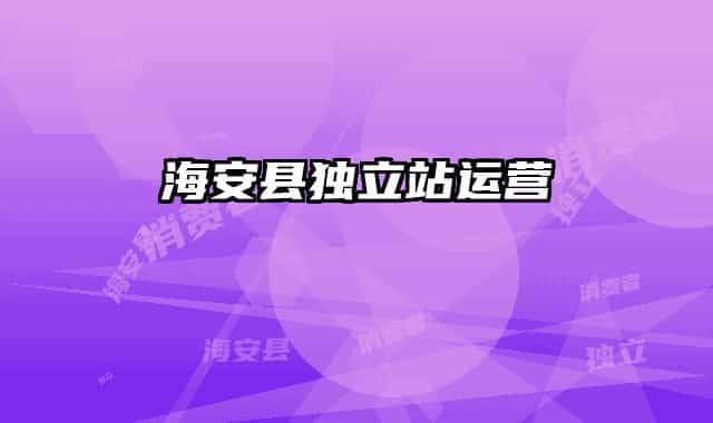海安县独立站运营