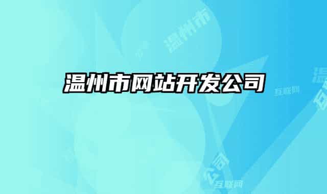 温州市网站开发公司
