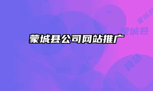 蒙城县公司网站推广