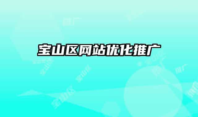 宝山区网站优化推广