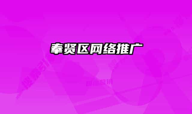 奉贤区网络推广