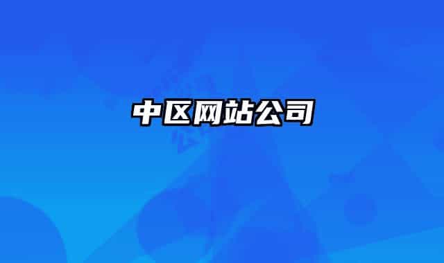 中区网站公司
