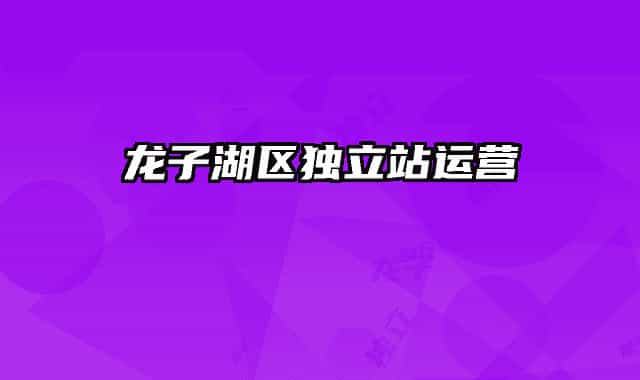 龙子湖区独立站运营