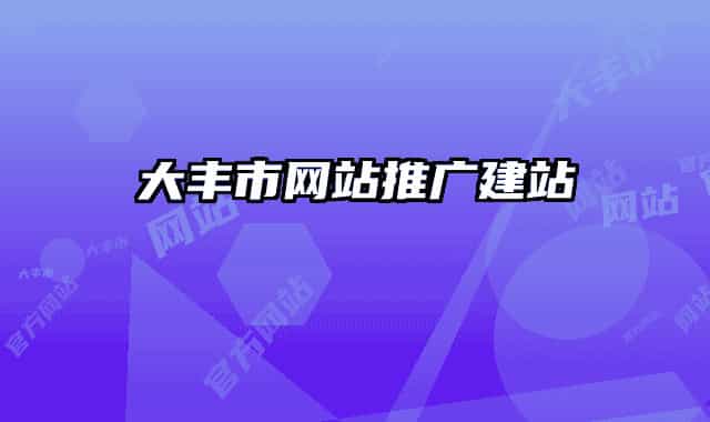 大丰市网站推广建站