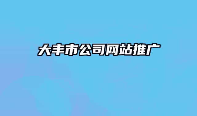 大丰市公司网站推广