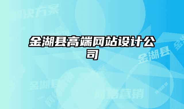 金湖县高端网站设计公司