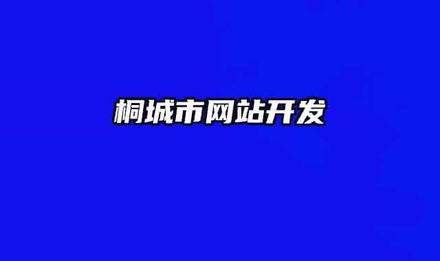 桐城市网站开发