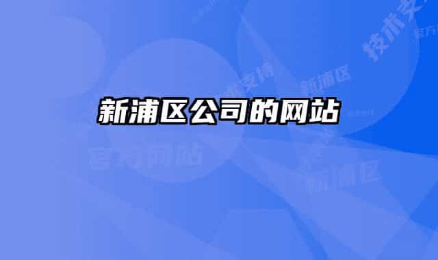 新浦区公司的网站