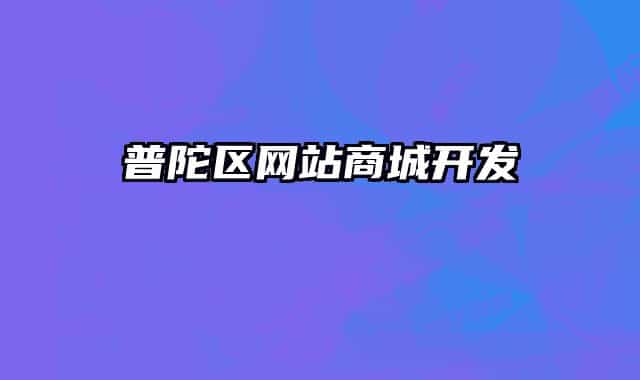 普陀区网站商城开发