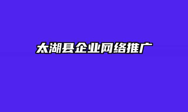 太湖县企业网络推广