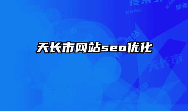 天长市网站seo优化