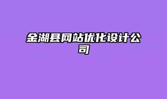金湖县网站优化设计公司