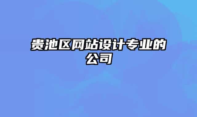 贵池区网站设计专业的公司