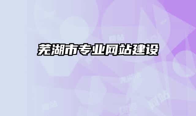 芜湖市专业网站建设