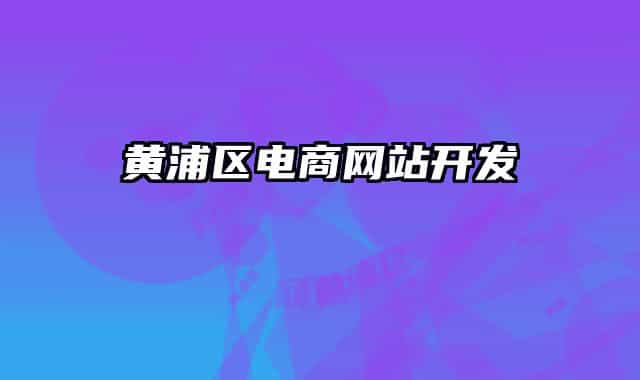 黄浦区电商网站开发