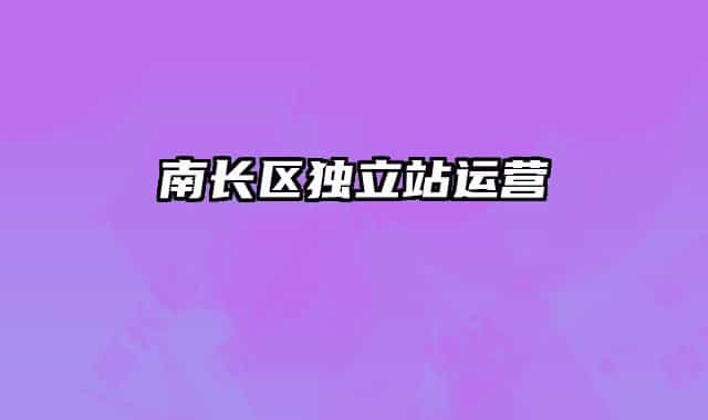 南长区独立站运营